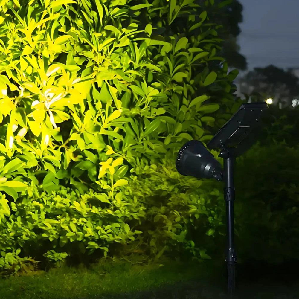 LumaBloom – Słoneczna Lampa Ogrodowa